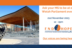Do you live in Wales? Ask your Member of the Senedd to attend our inaugural FND Senedd Awareness Day